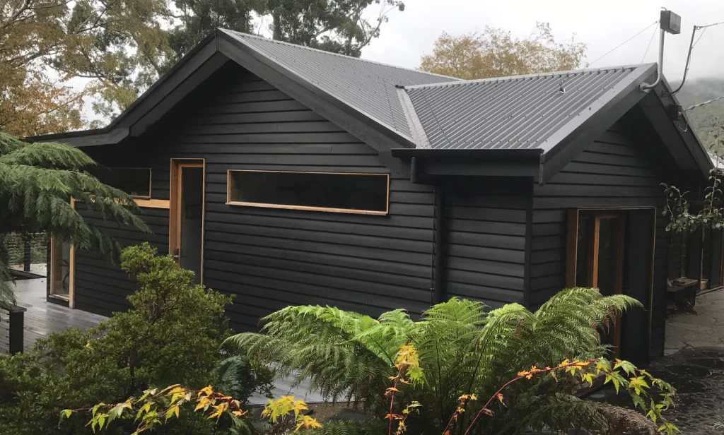 Weatherboard cottage among the ferns